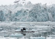 Historic performance with pianist ludovico einaudi on the arctic ocean