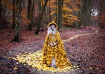 Kirsty Mitchell |Photo Book Of Wonderland series