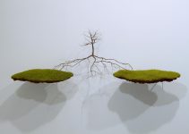 Tree Sculptures by Jorge Mayet