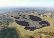 Solar farm in China is shaped like a panda