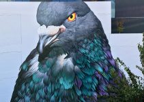 Stunning Large-Scale Pigeons Murals by Adele Renault